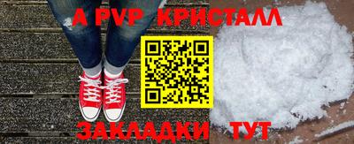 прущие грибы Бердск