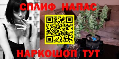 прущие грибы Бердск