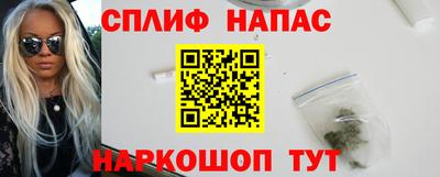 прущие грибы Бердск