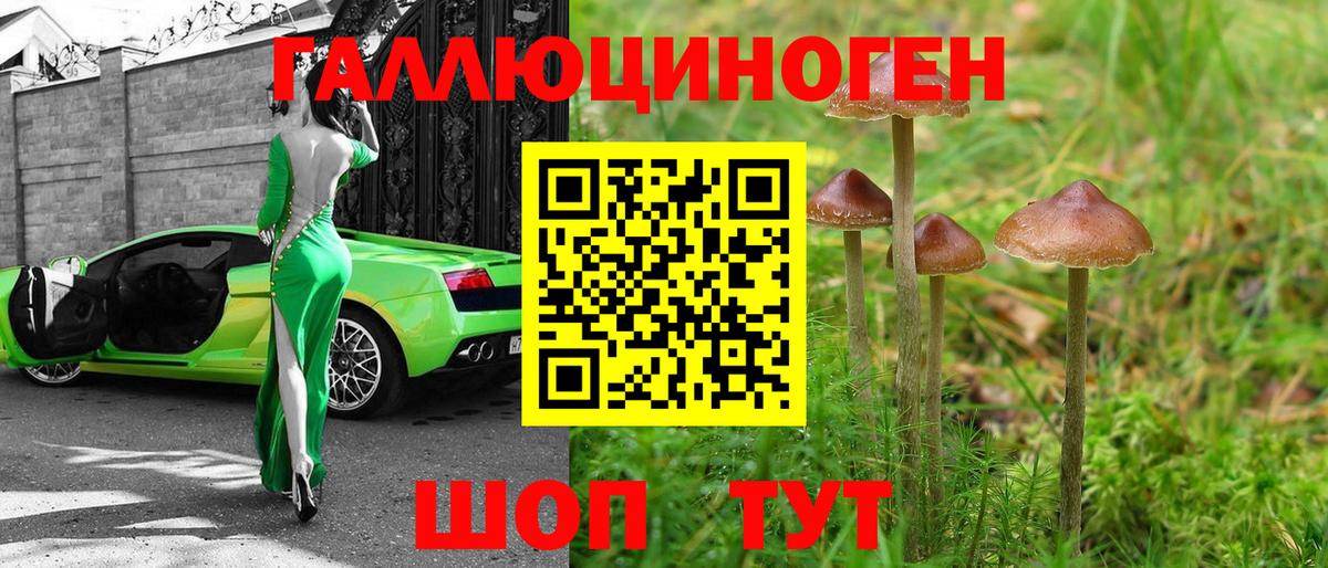 Галлюциногенные грибы мицелий  Галлюциногенные грибы Magic Shrooms  купить наркотик  Баксан  Вход с VPN 