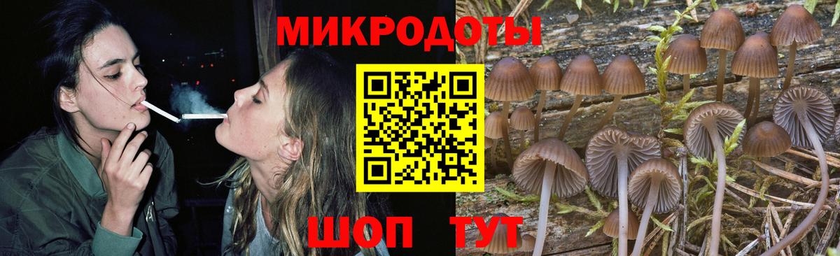 Галлюциногенные грибы Psilocybe Баксан